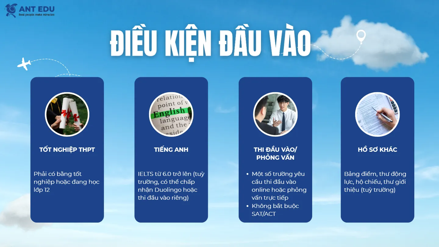 Du Học Phần Lan
