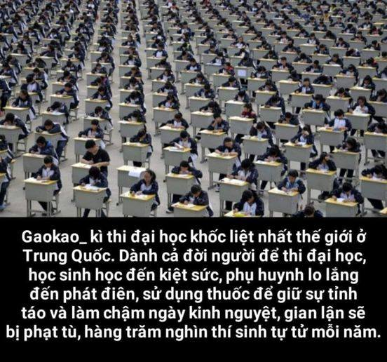 gaokao