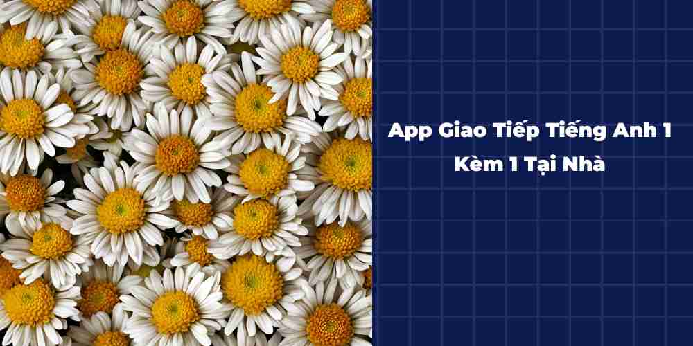 App-Giao-Tiep-Tieng-Anh