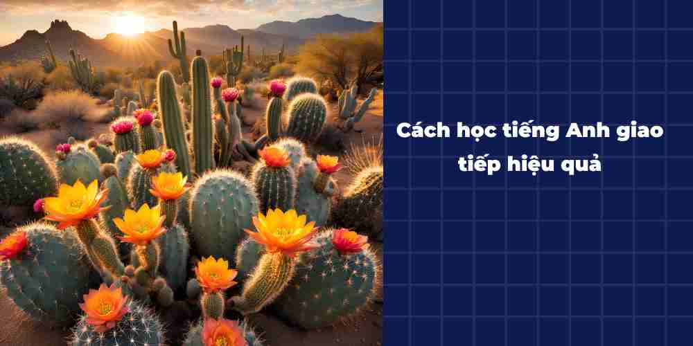 Cach-hoc-tieng-Anh-giao-tiep-hieu-qua