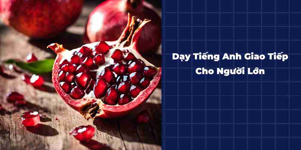 Day-Tieng-Anh-Giao-Tiep-Cho-Nguoi-Lon