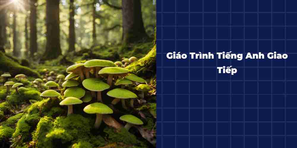 Giao-Trinh-Tieng-Anh-Giao-Tiep