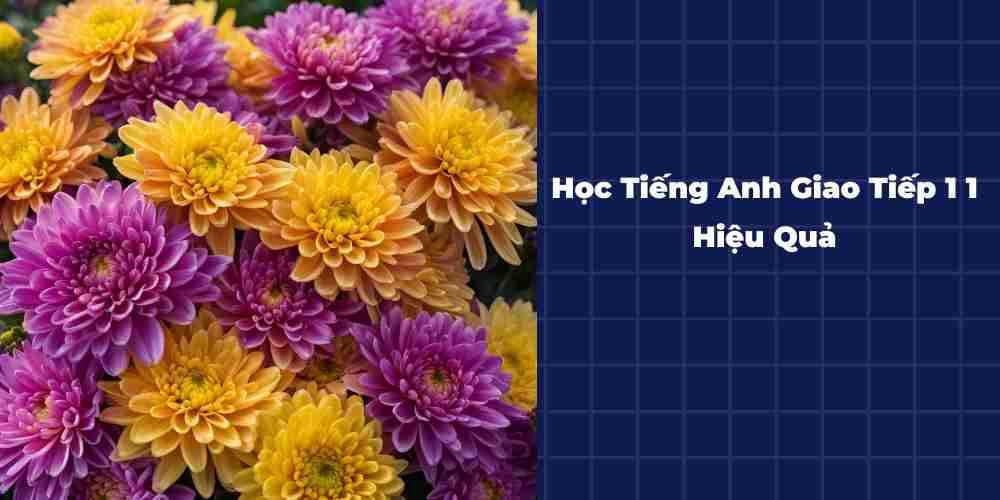 Hoc-Tieng-Anh-Giao-Tiep-1-1-Hieu-Qua