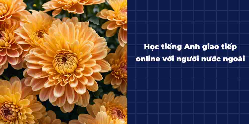 Hoc-tieng-Anh-giao-tiep-online-voi-nguoi-nuoc-ngoai