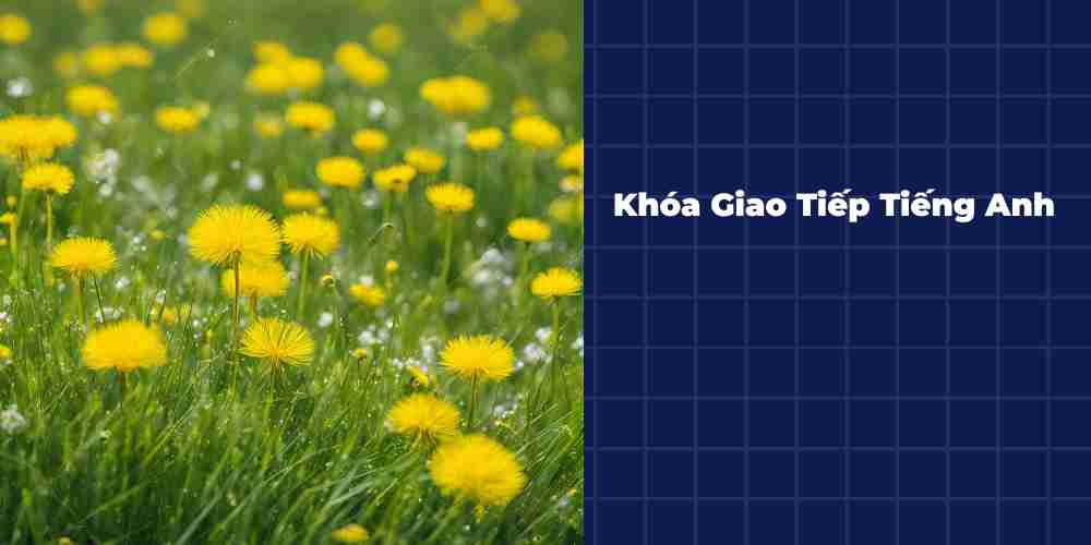 Khoa-Giao-Tiep-Tieng-Anh