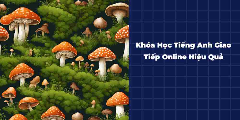 Khoa-Hoc-Tieng-Anh-Giao-Tiep-Online-Hieu-Qua