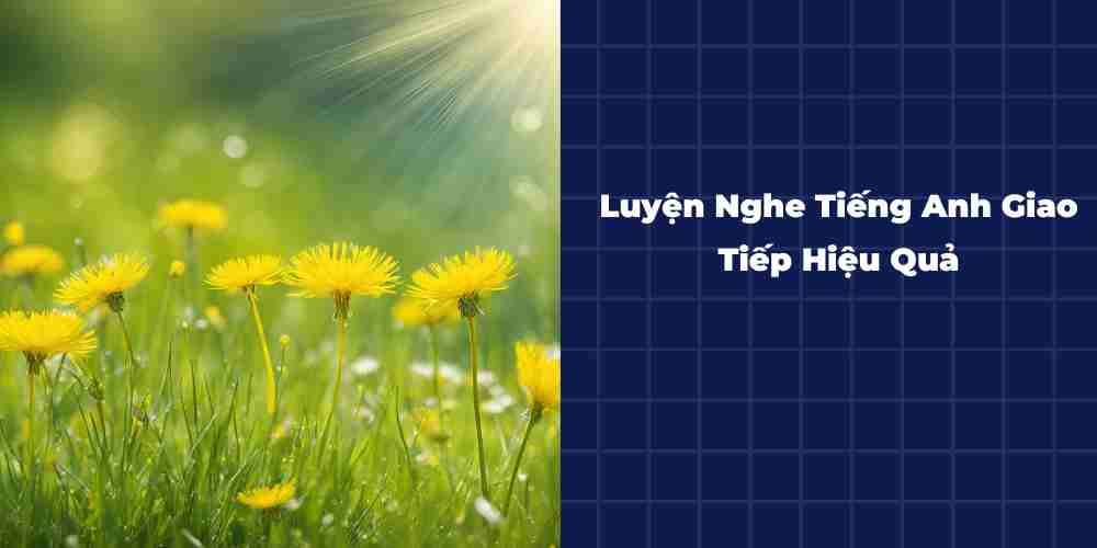 Luyen-Nghe-Tieng-Anh-Giao-Tiep-Hieu-Qua