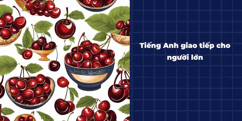 Tieng-Anh-giao-tiep-cho-nguoi-lon