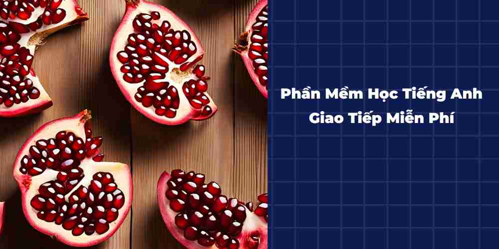 Phan-Mem-Hoc-Tieng-Anh-Giao-Tiep-Mien-Phi