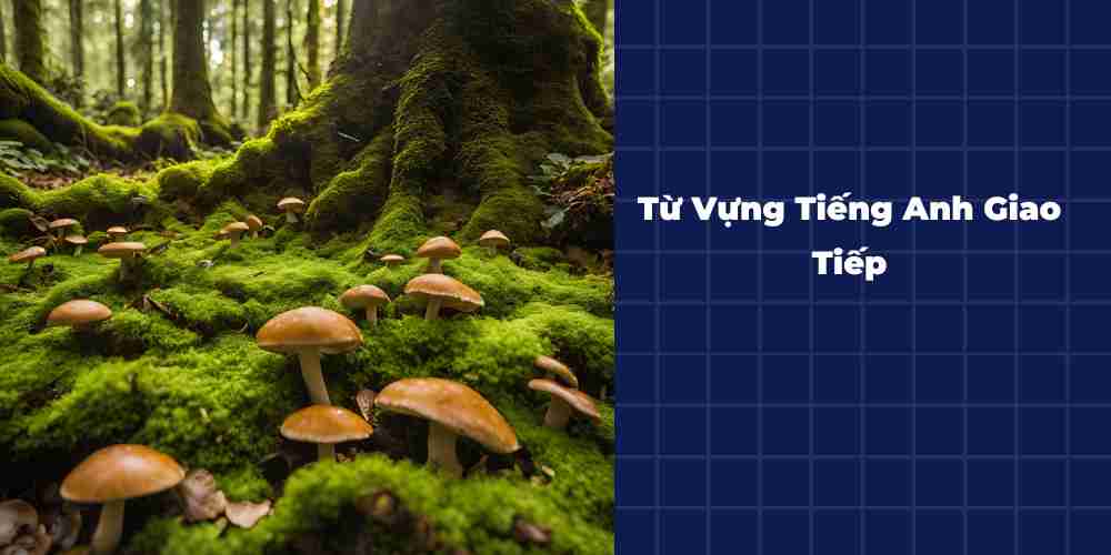 Tu-Vung-Tieng-Anh-Giao-Tiep