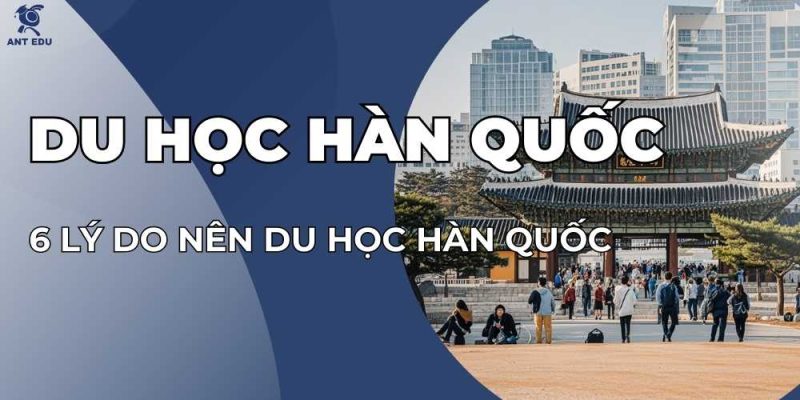 6-ly-do-nen-du-hoc-han-quoc