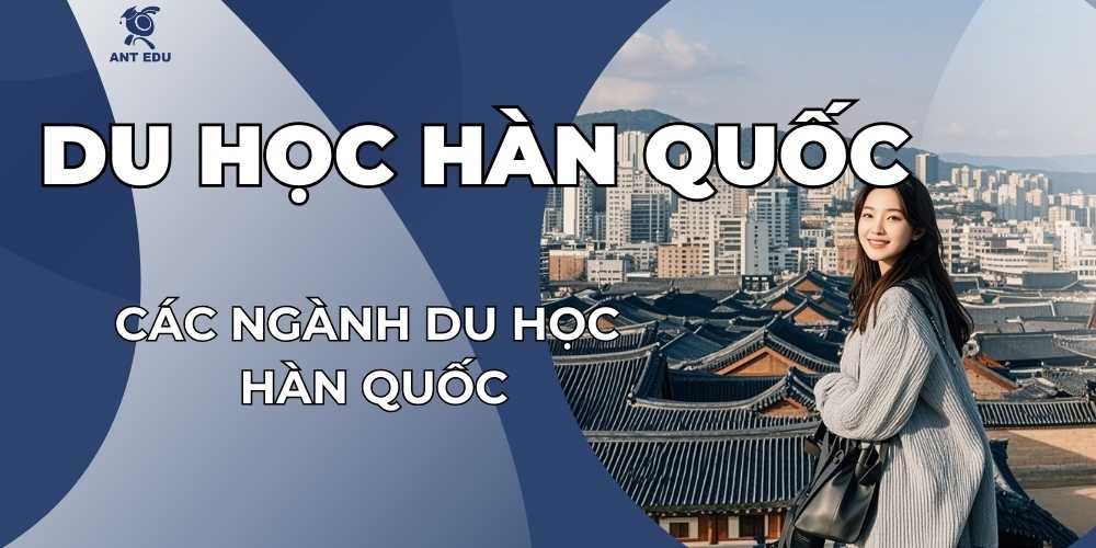 cac-nganh-du-hoc-han-quoc