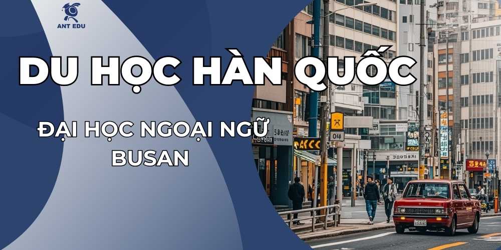 dai-hoc-ngoai-ngu-busan