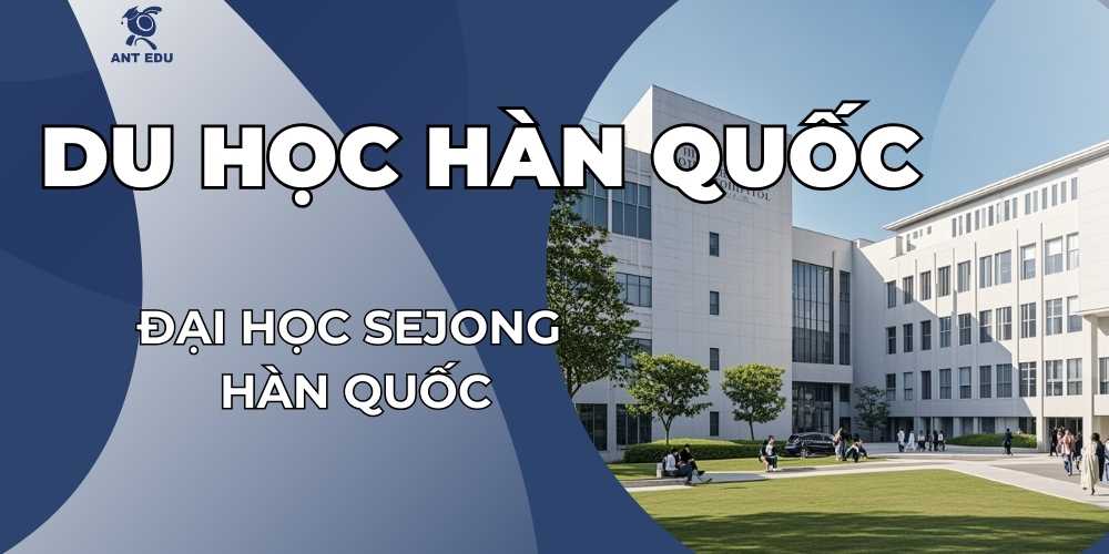 dai-hoc-sejong-han-quoc