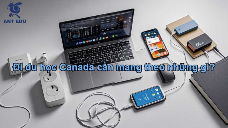 di-du-hoc-canada-can-mang-theo-nhung-gi