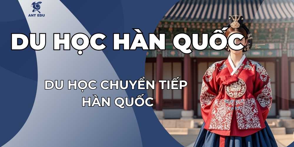 du-hoc-chuyen-tiep-han-quoc