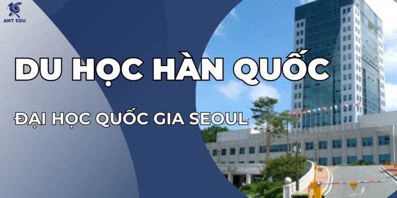 du-hoc-han-quoc-tai-truong-dai-hoc-daegu