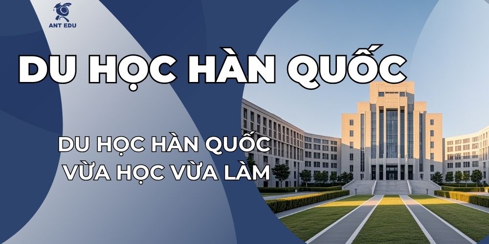 du-hoc-han-quoc-vua-hoc-vua-lam