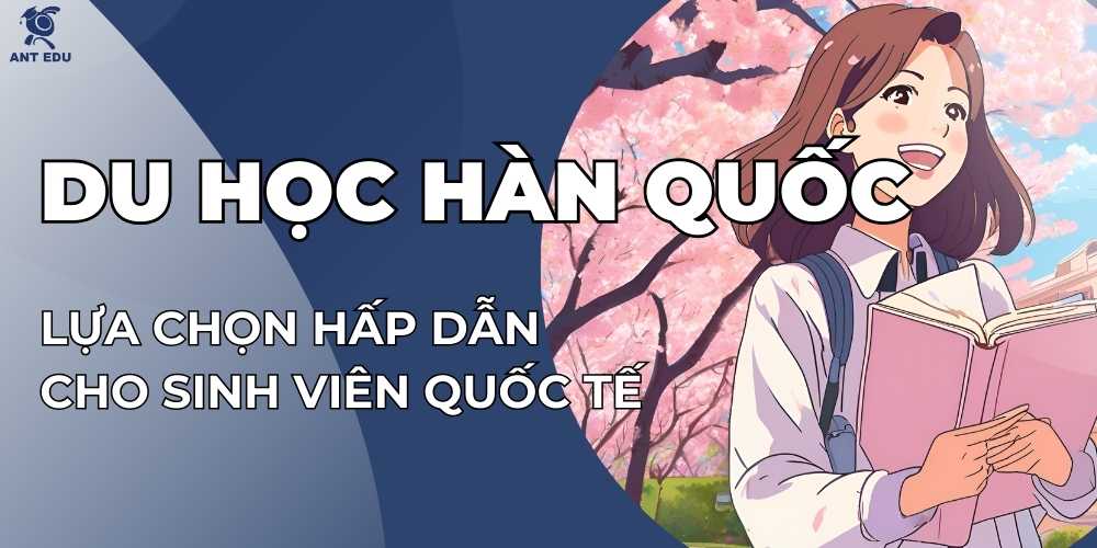 du-hoc-he-cao-dang-han-quoc-10