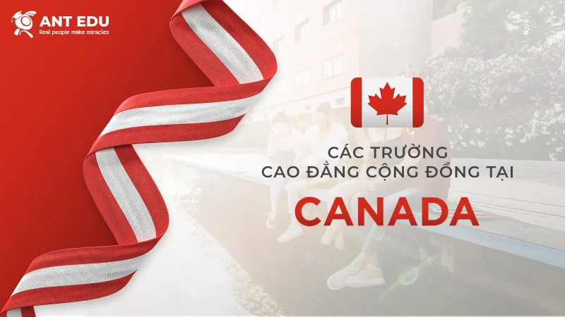 cac-truong-cao-dang-cong-dong-tai-canada-1