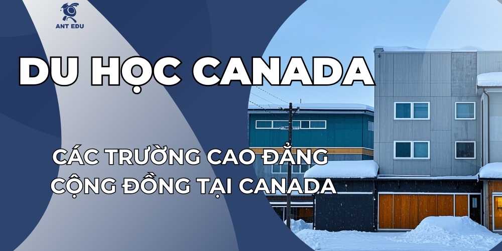 cac-truong-cao-dang-cong-dong-tai-canada