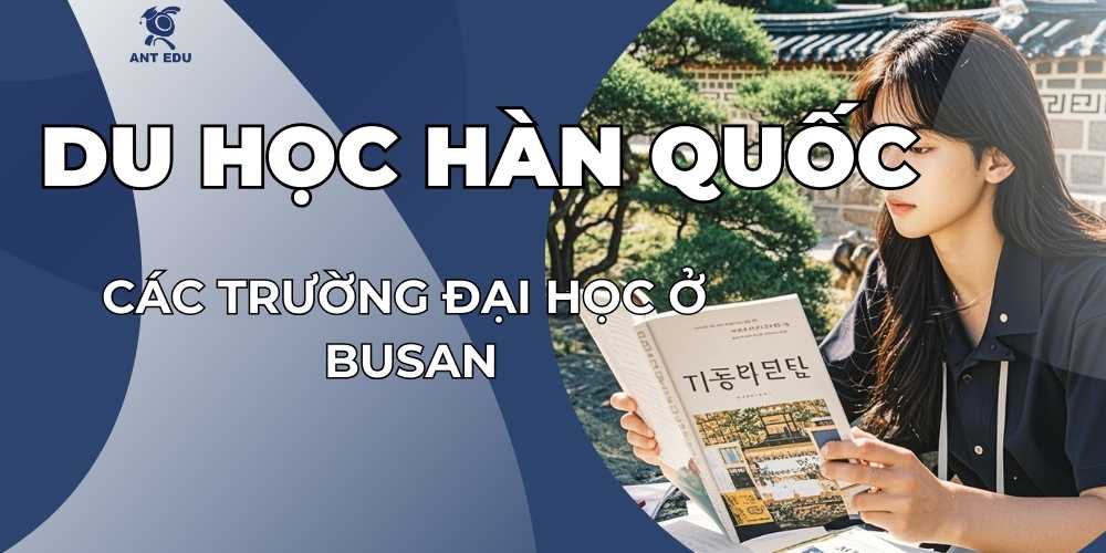 cac-truong-dai-hoc-o-busan