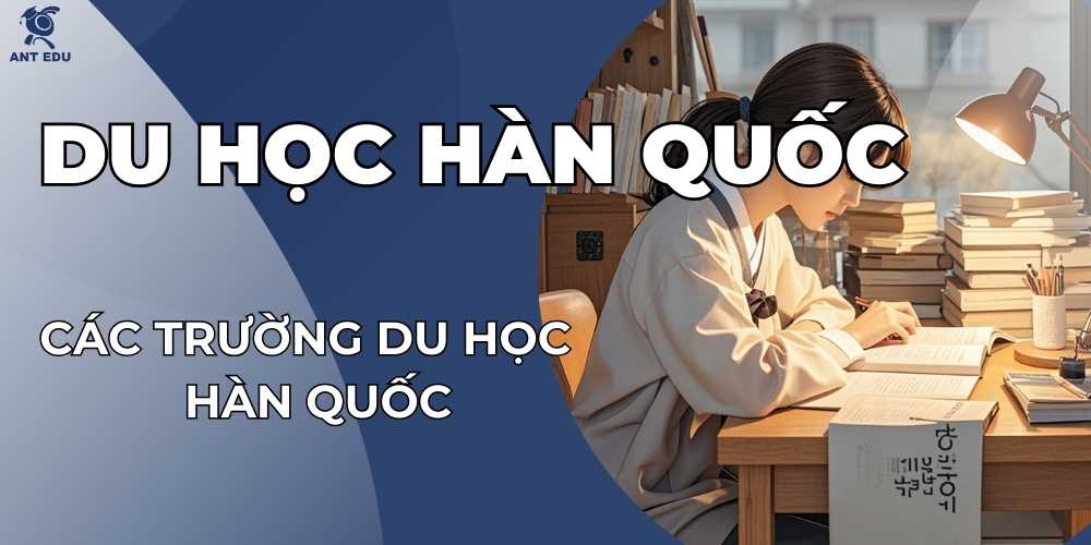 cac-truong-du-hoc-han-quoc-top-cac-truong-dai-hoc-hang-dau-cho-sinh-vien-quoc-te