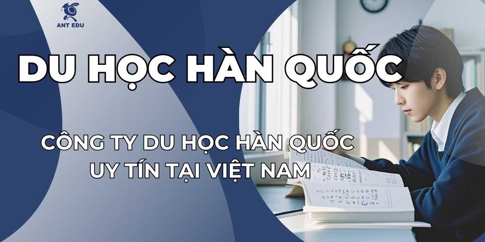 cong-ty-du-hoc-han-quoc-uy-tin-tai-viet-nam