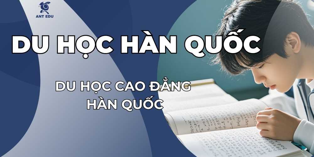 du-hoc-cao-dang-han-quoc