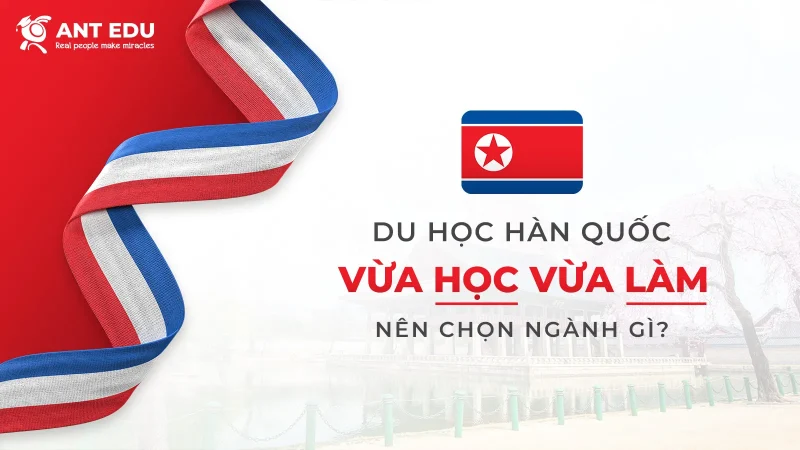 du-hoc-han-quoc-vua-hoc-vua-lam-nen-chon-nganh-gi-11