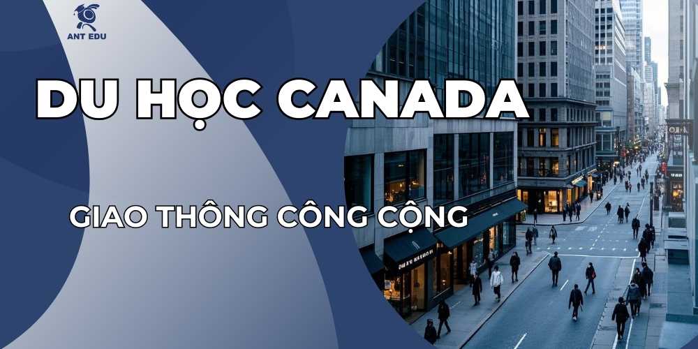 giao-thong-cong-cong-tai-canada