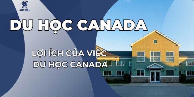 loi-ich-cua-viec-du-hoc-canada