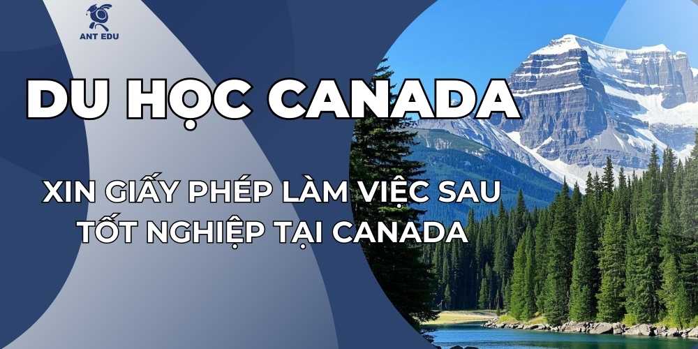 xin-giay-phep-lam-viec-sau-tot-nghiep-tai-canada