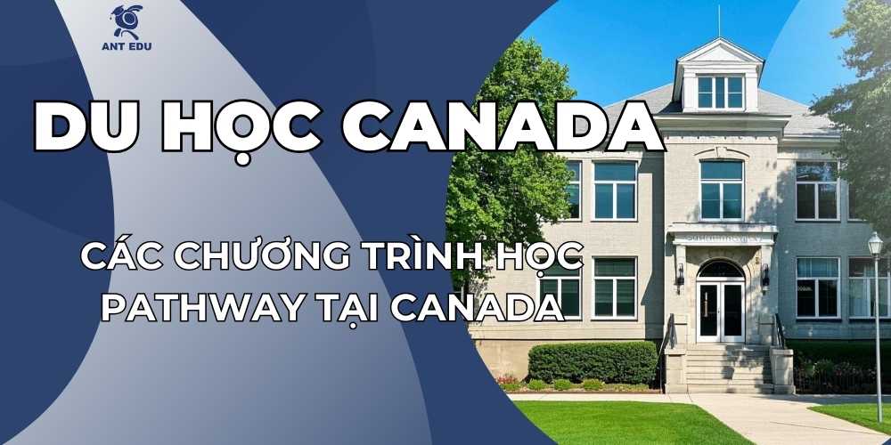 cac-chuong-trinh-hoc-pathway-tai-canada