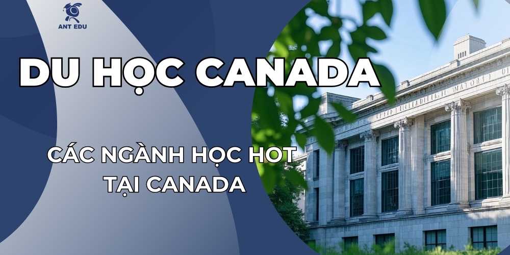 cac-nganh-hoc-hot-tai-canada