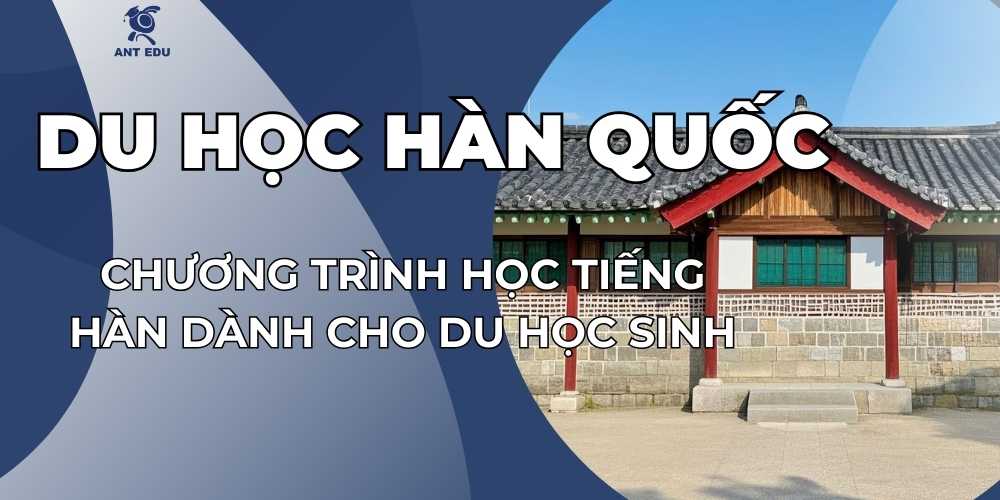 chuong-trinh-hoc-tieng-han-danh-cho-du-hoc-sinh