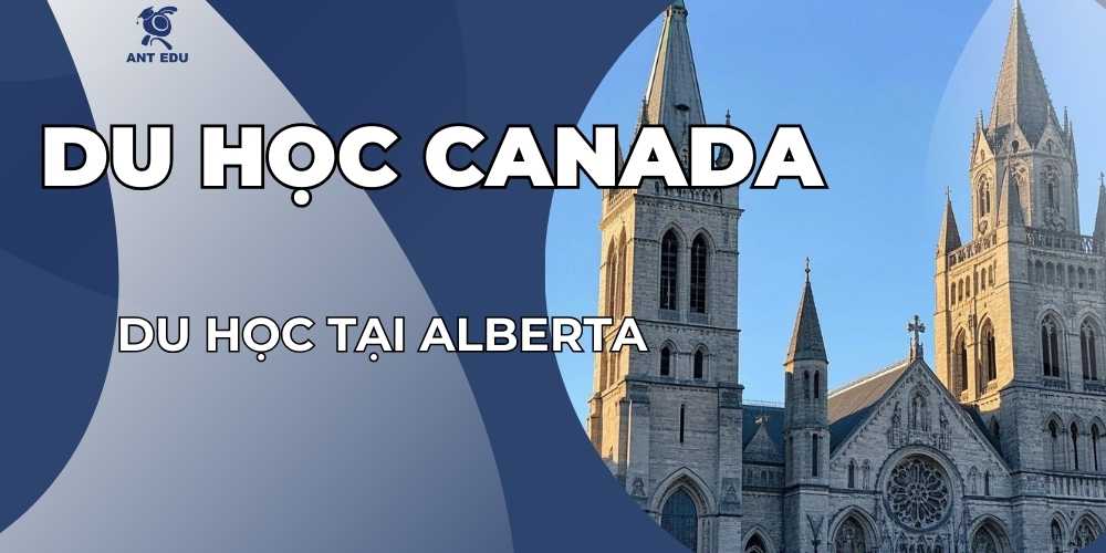 du-hoc-tai-alberta