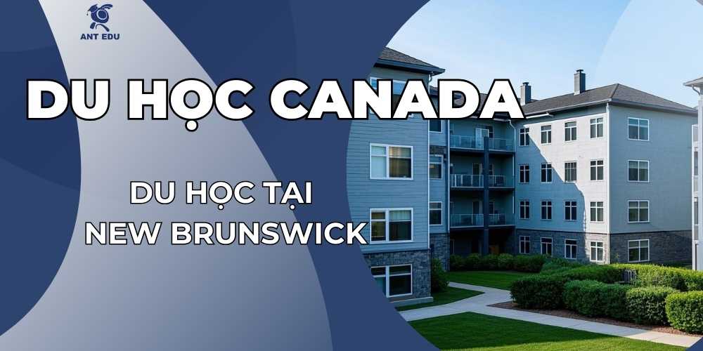 du-hoc-tai-new-brunswick