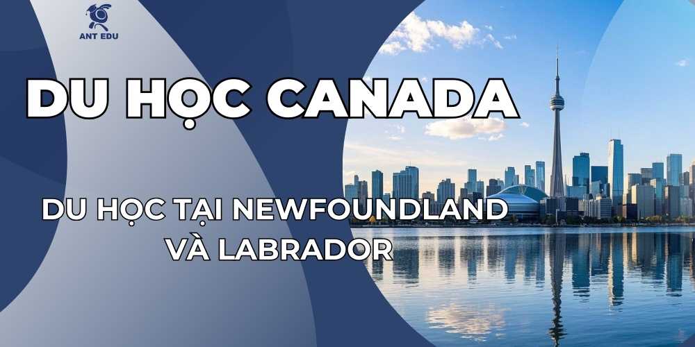 du-hoc-tai-newfoundland-va-labrador