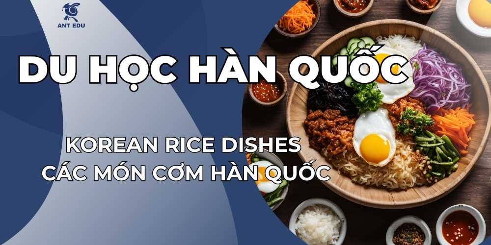 korean-rice-dishes-cac-mon-com-han-quoc