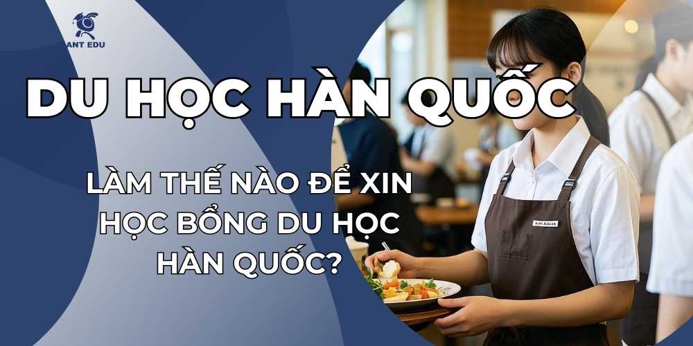 lam-the-nao-de-xin-hoc-bong-du-hoc-han-quoc