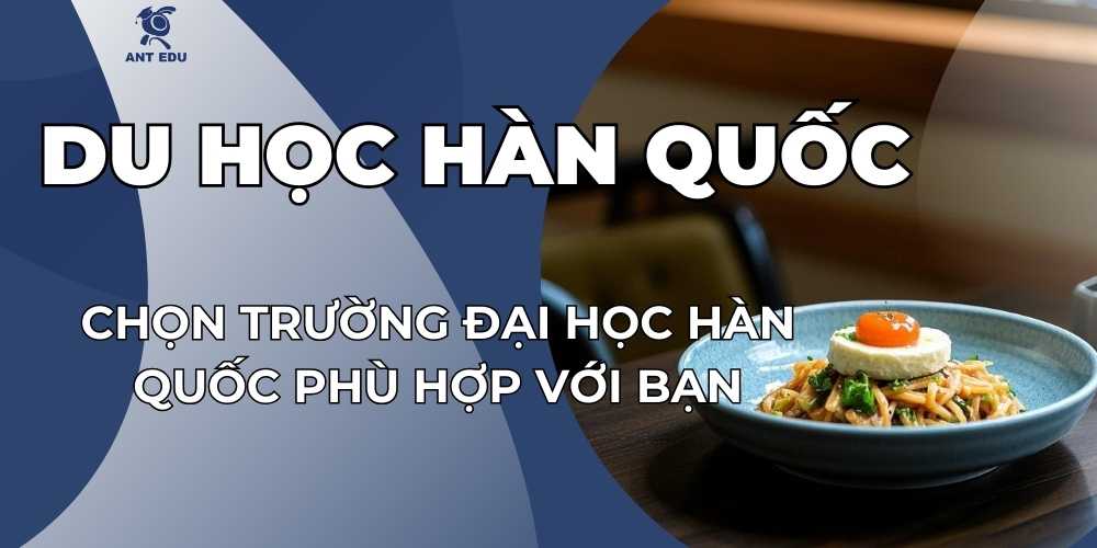 chon-truong-dai-hoc-han-quoc-phu-hop-voi-nganh-nghe