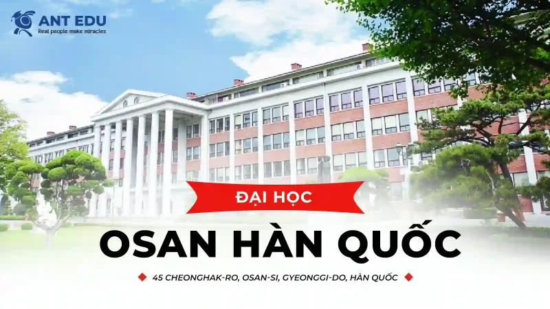 dai-hoc-osan-han-quoc