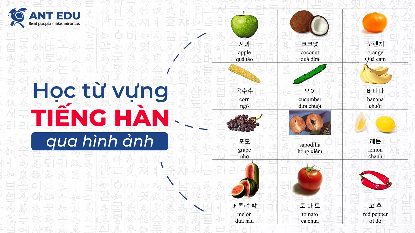 hoc-tu-vung-tieng-han-qua-hinh-anh