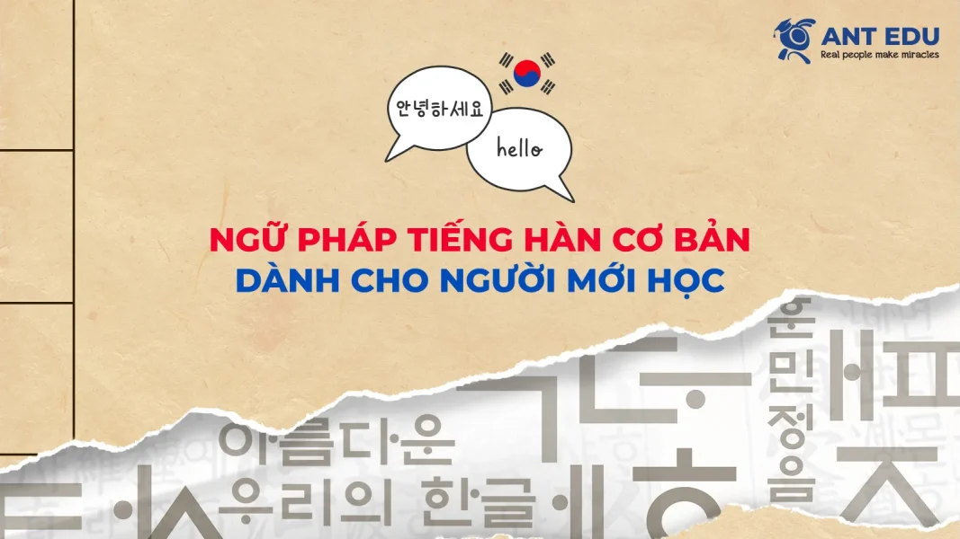 ngu-phap-tieng-han-co-ban-danh-cho-nguoi-moi-hoc