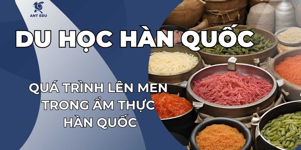 qua-trinh-len-men-trong-am-thuc-han-quoc