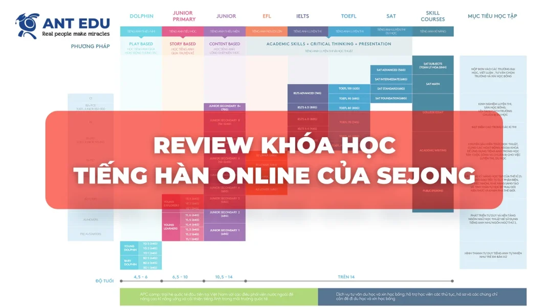 review-khoa-hoc-tieng-han-online-cua-sejong