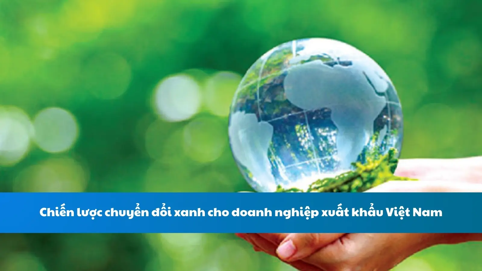 Chiến lược chuyển đổi xanh cho doanh nghiệp xuất khẩu Việt Nam