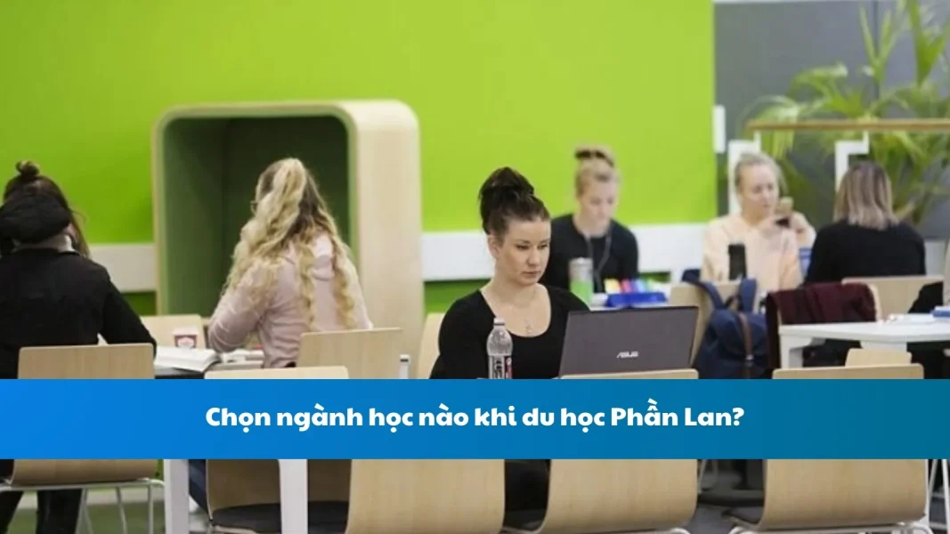 Chọn ngành học nào khi du học Phần Lan?