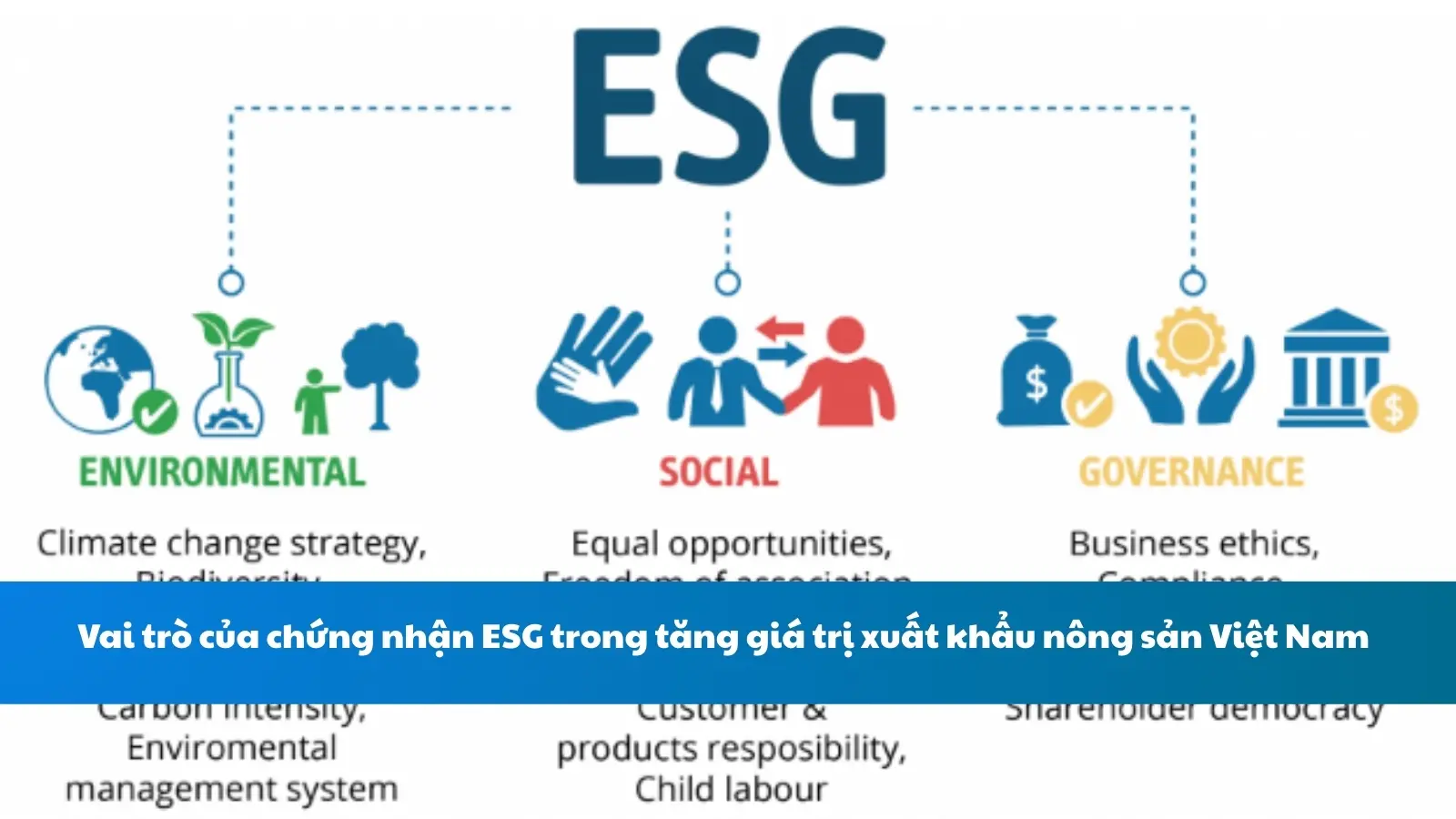 Vai trò của chứng nhận ESG trong tăng giá trị xuất khẩu nông sản Việt Nam